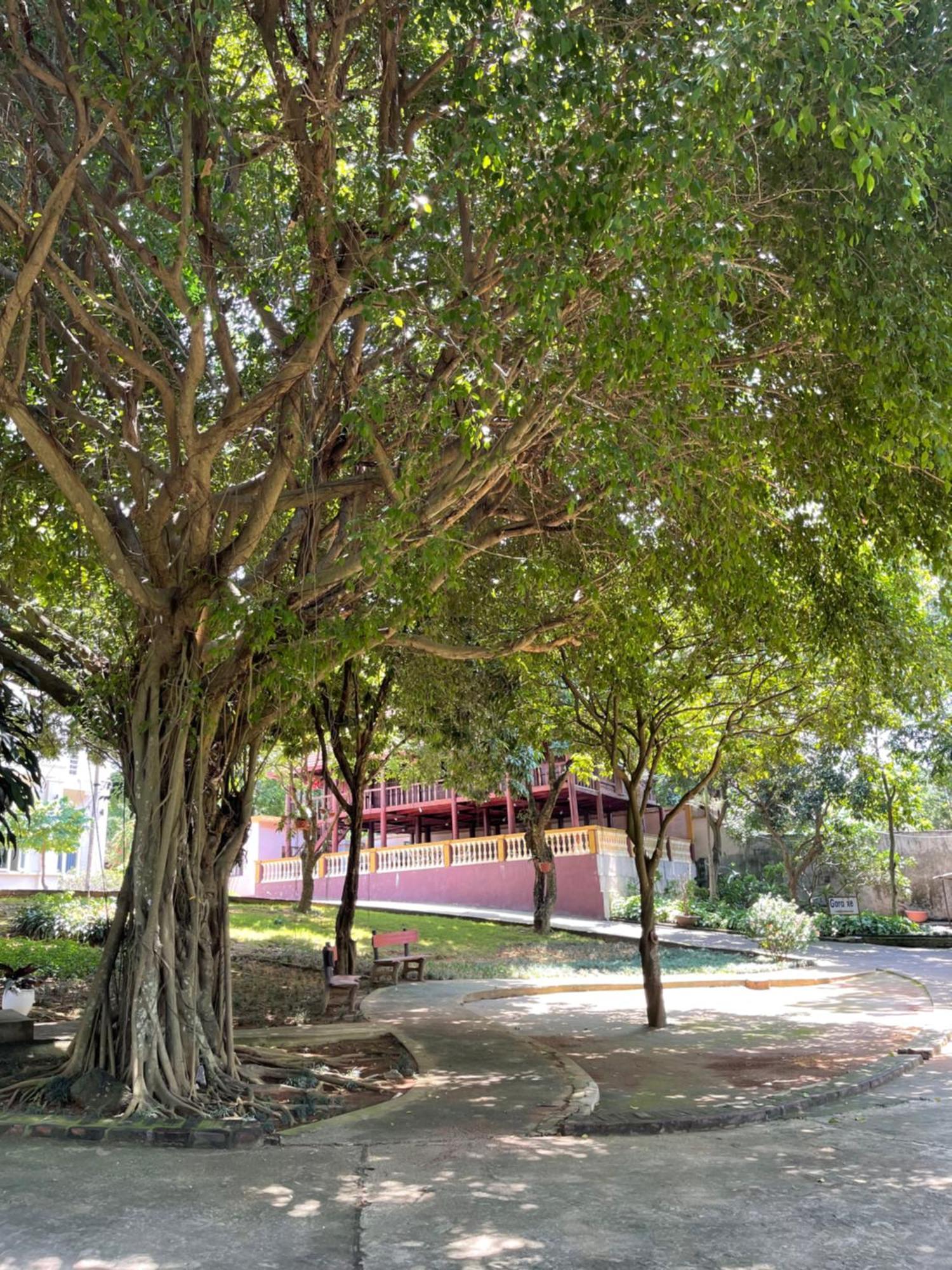 Thien Binh Hotel Hoa Binh Экстерьер фото